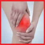 Logo of Knee Pain Exercises android Application 